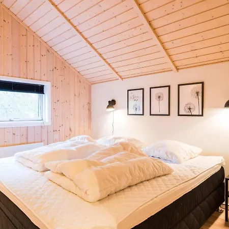 Holiday Cii Tatil Evi Nørre Nebel